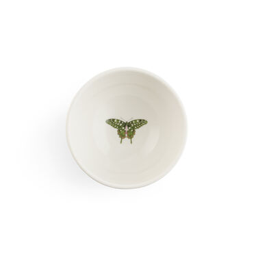 Botanic Garden Harmony Accents White 6 Inch Bowl